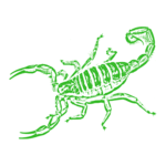 Scorpion Pest Control