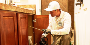 fast and efficient pest control service