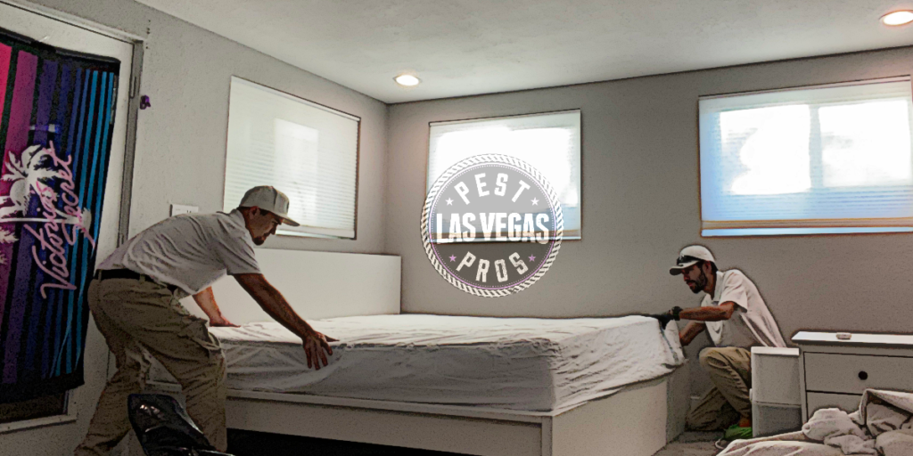 bed bug exterminator las vegas 2022