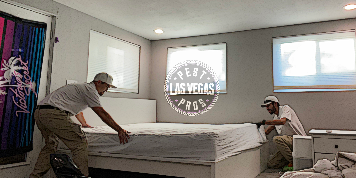 Bed Bug Exterminator Las Vegas 2022 