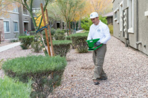 pest control for landscaping
