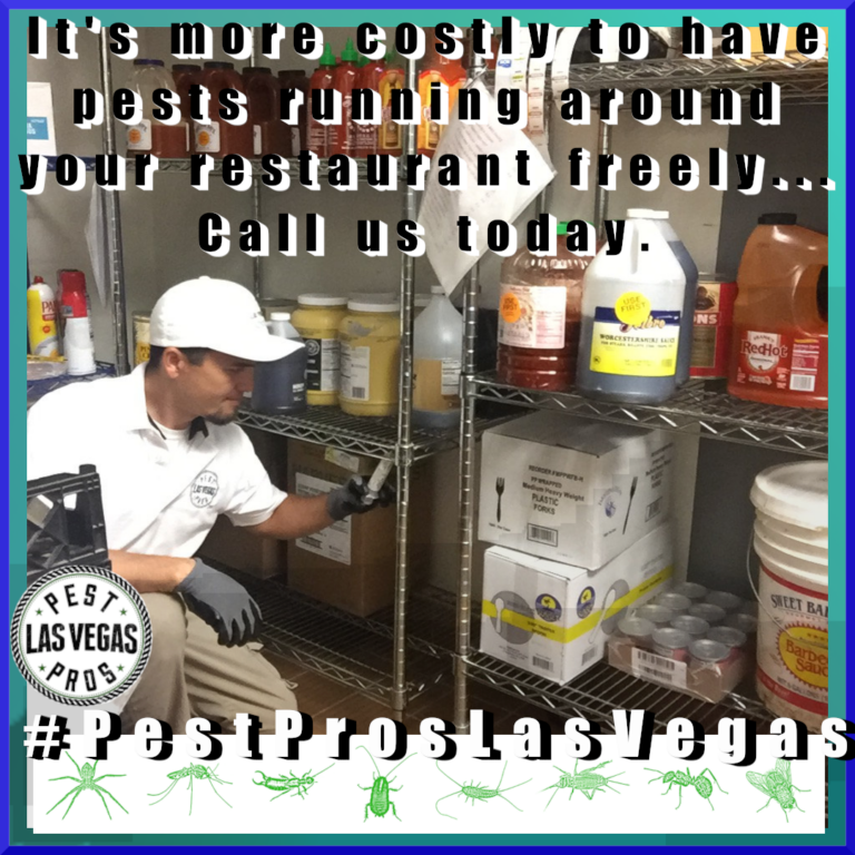 las vegas restaurant pest control