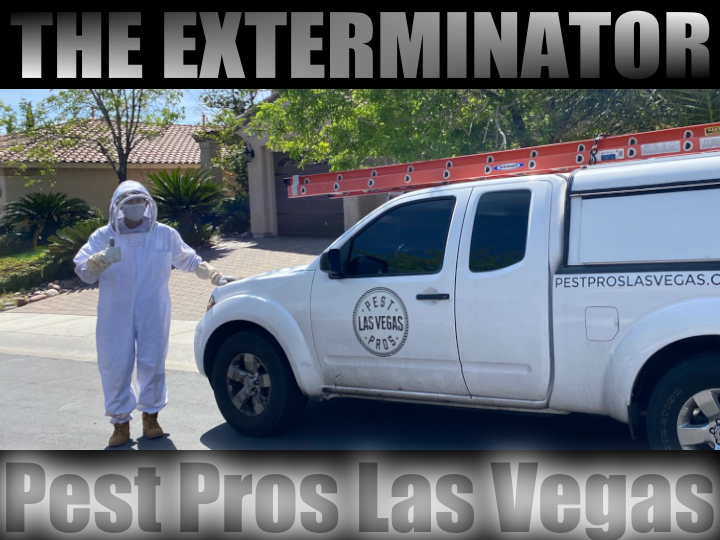 The bee exterminator Las Vegas, Pest Pros