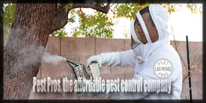 pest pros las vegas, the affordable pest control company