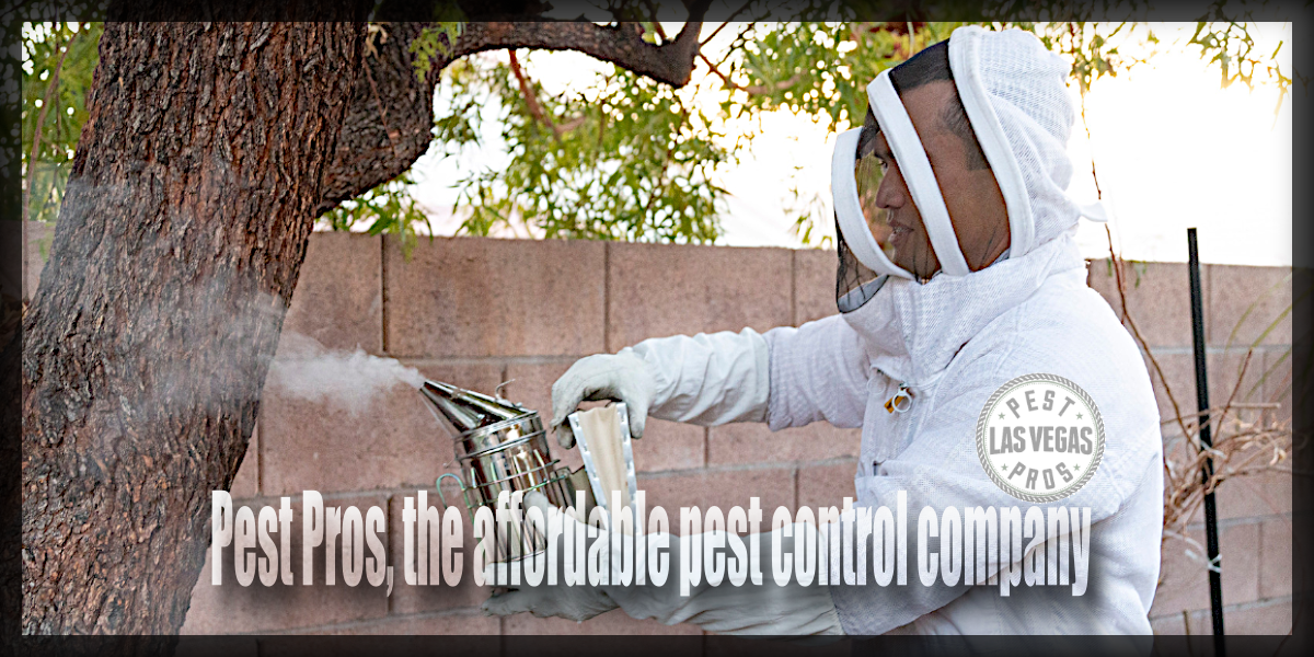 Pest Pros, The Affordable Pest Control Company