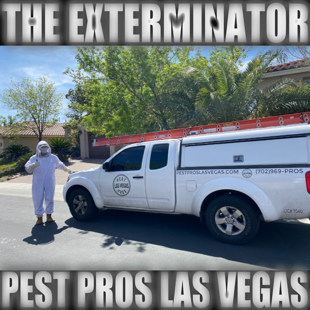the las vegas bee exterminator