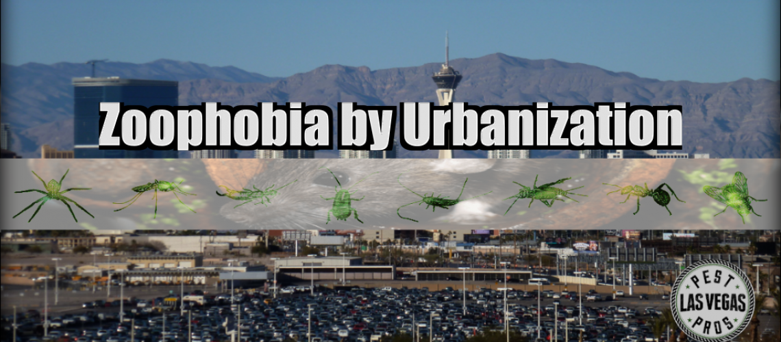 Urbanization-fear-of-bees-rats-spiders-2