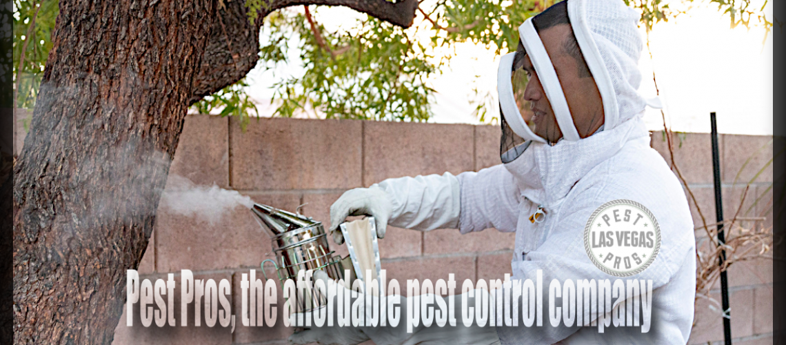 pest pros las vegas, the affordable pest control company